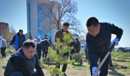 Павлодарцы поддержали экоинициативу Президента