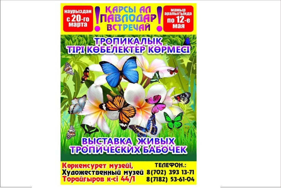 20 марта - 12 мая - Художественный музей - Выставка тропических бабочек