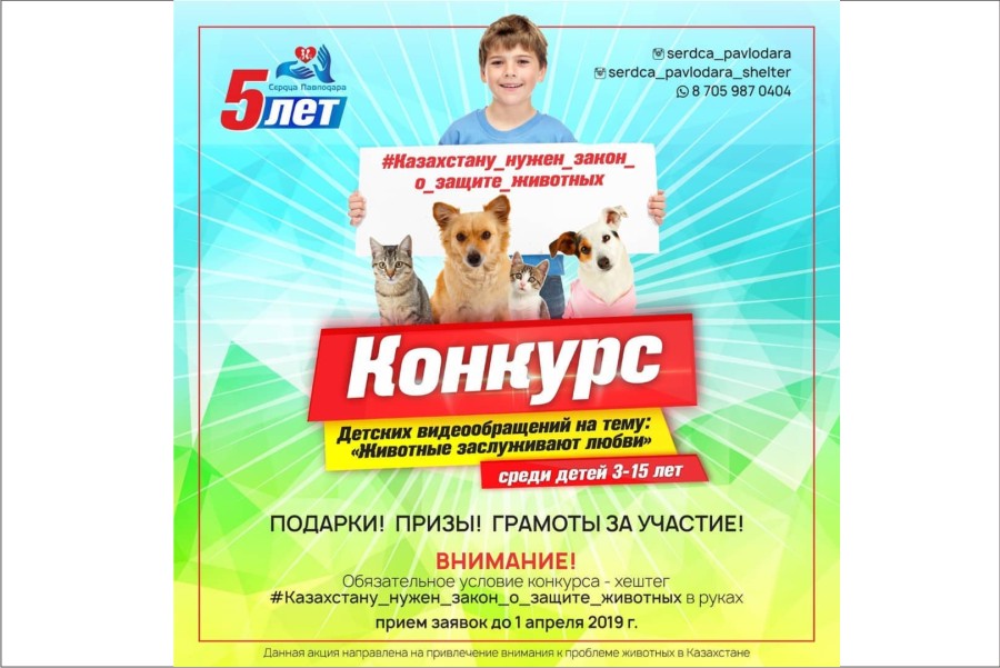 Внимание! Конкурс от 