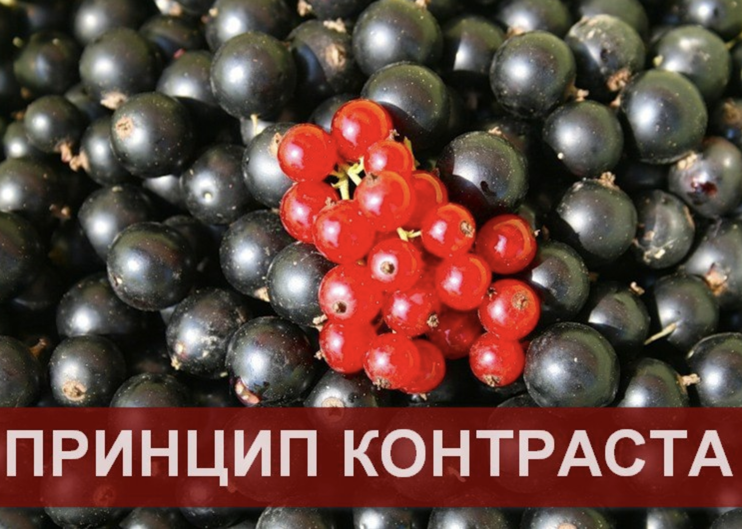 Психология влияния: Принцип контраста 