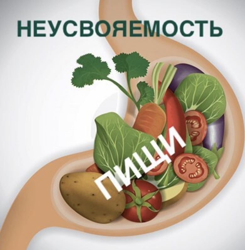По каким причинам пища может плохо перевариваться и усваиваться?