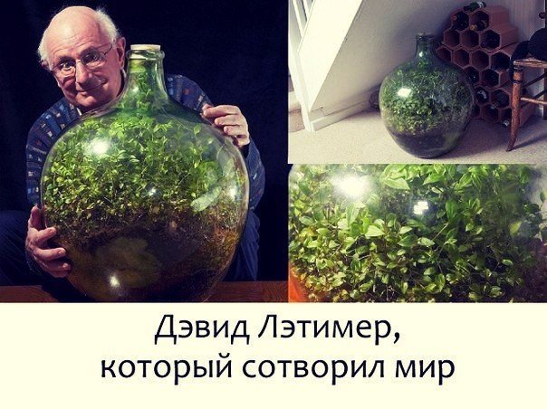 Человек, сотворивший мир