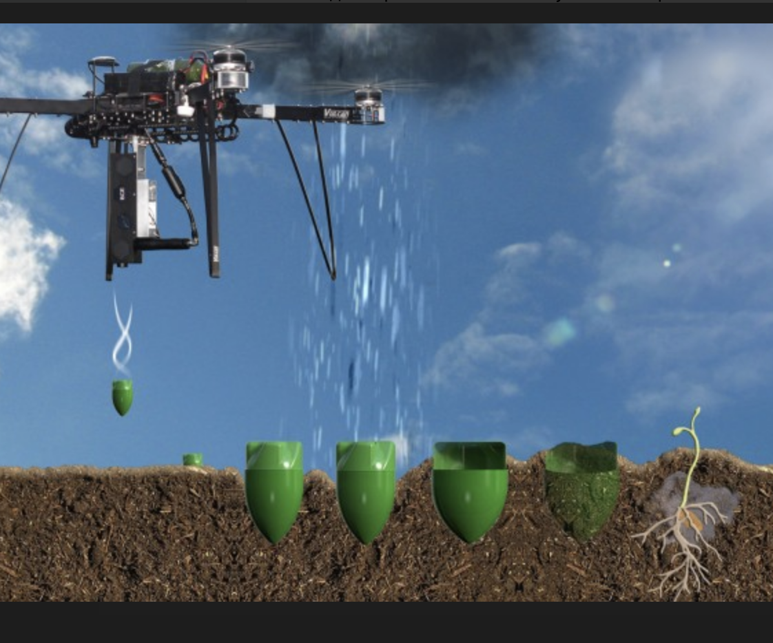 Как с помощью дронов сажать миллиард деревьев в год