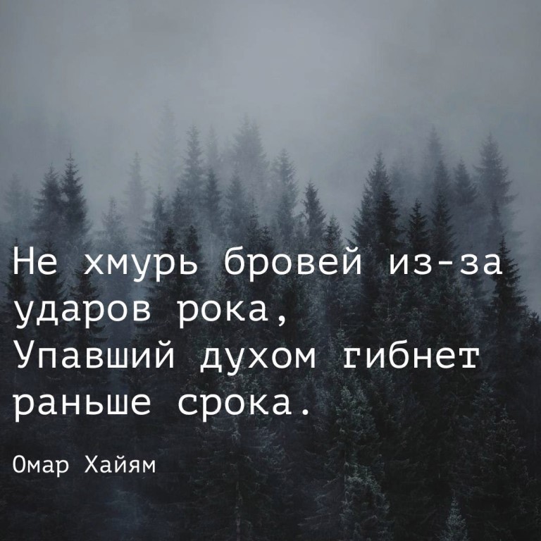 е хмурь бровей из за ударов рока упавший духом гибнет раньше срока