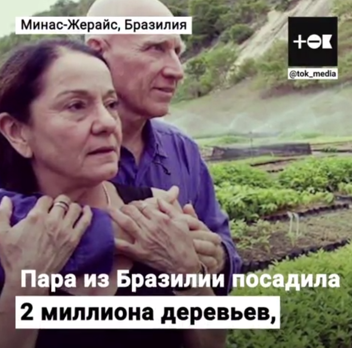 2 миллиона деревьев за 20 лет