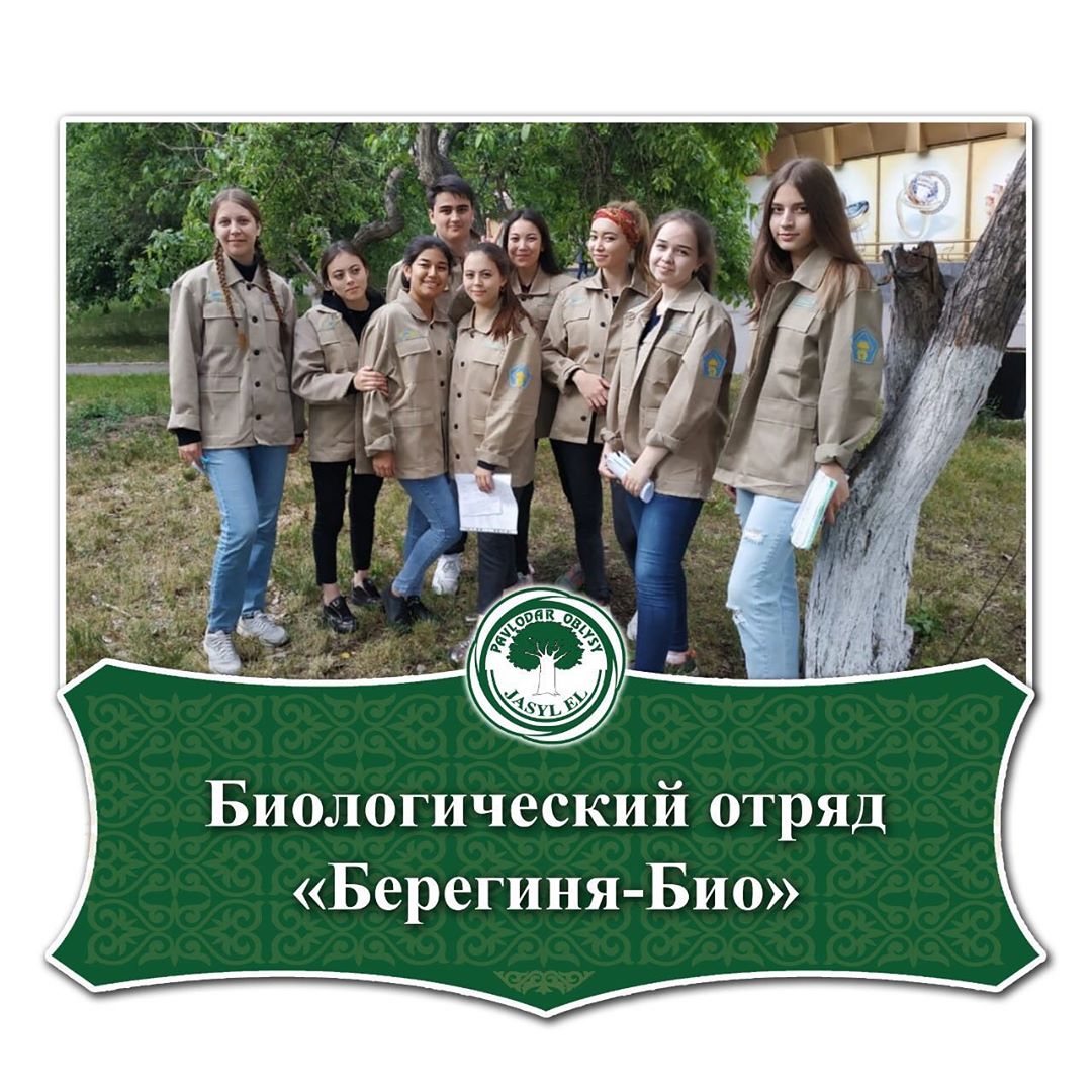 Биологический отряд Берегиня-БИО проводит инвентаризацию зеленых насаждений города