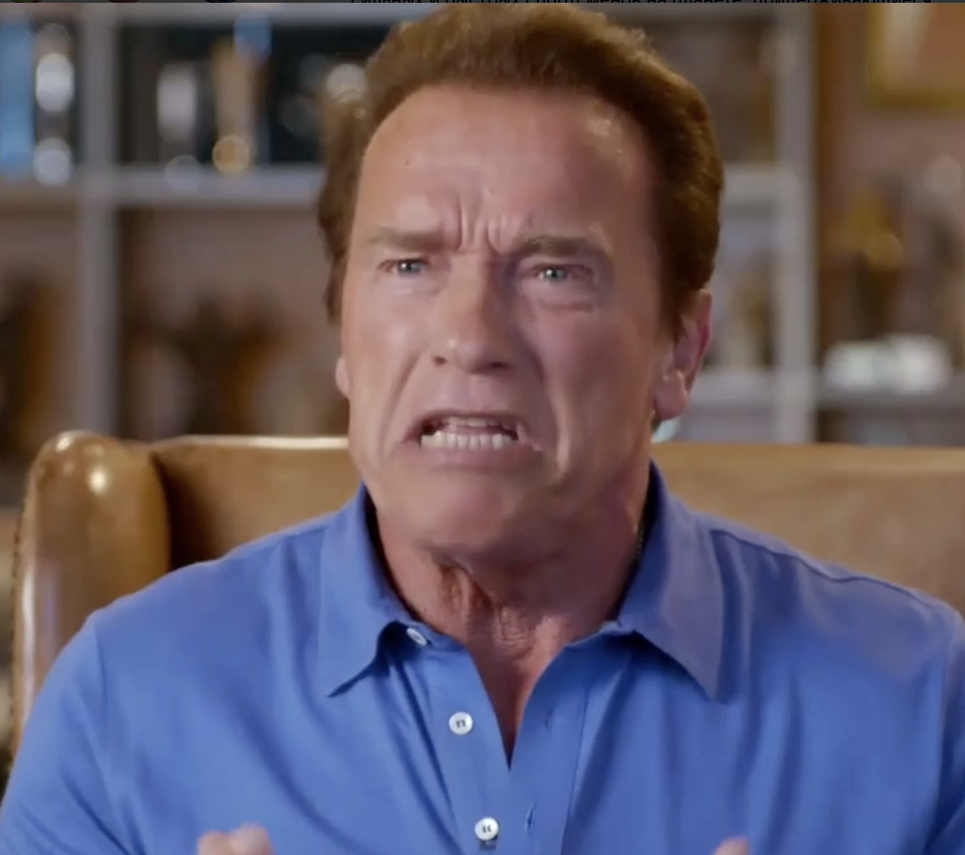 Шварценеггер, Джеки Чан, Новак Джокович и Кэмерон представляют фильм о веганстве