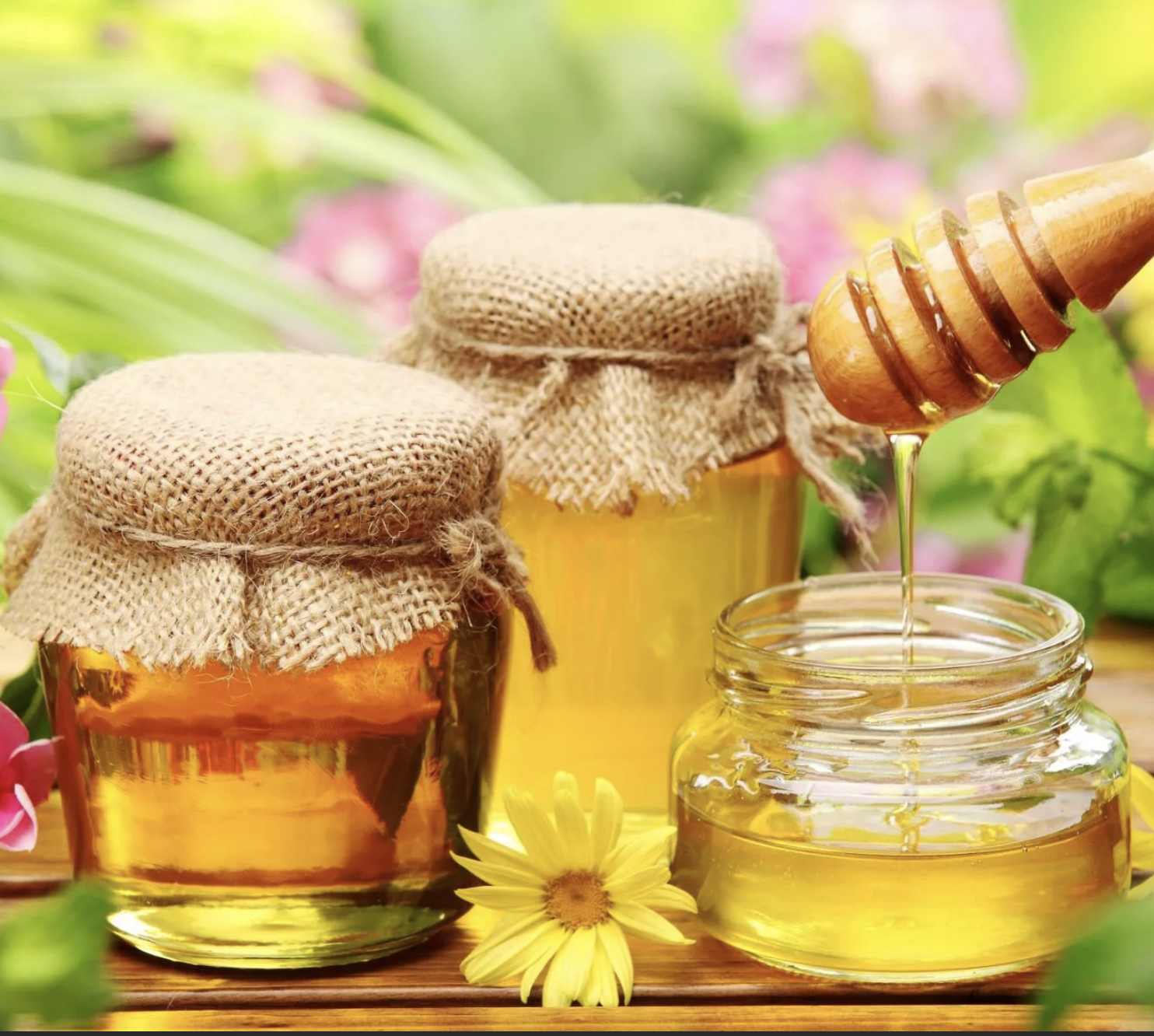 Медовый спас традиции, обычаи, приметы