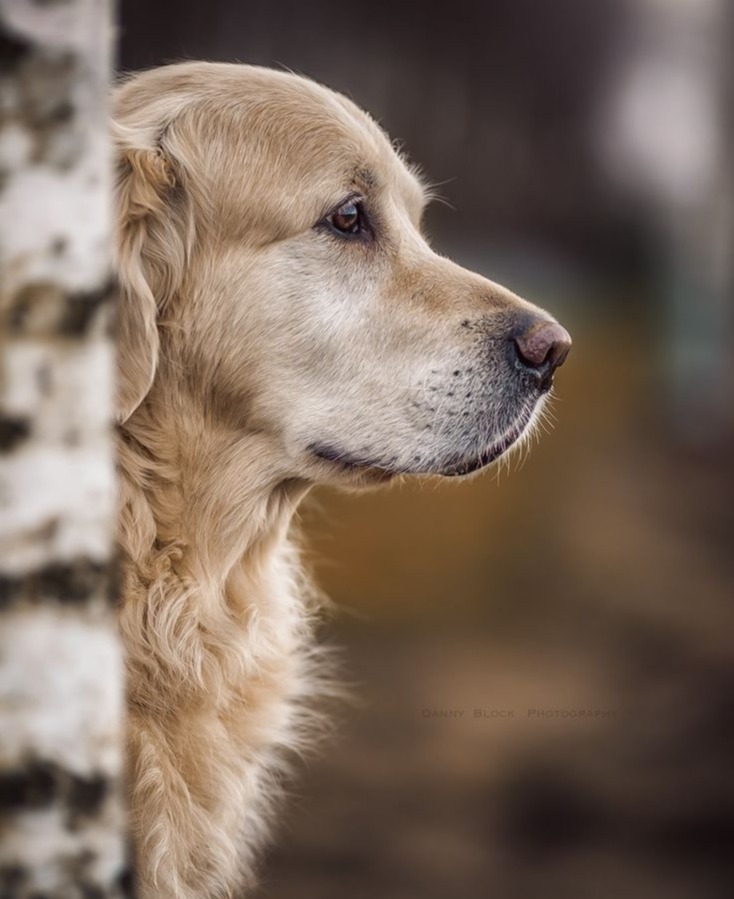 ПРИТЧА О ДРУЖБЕ