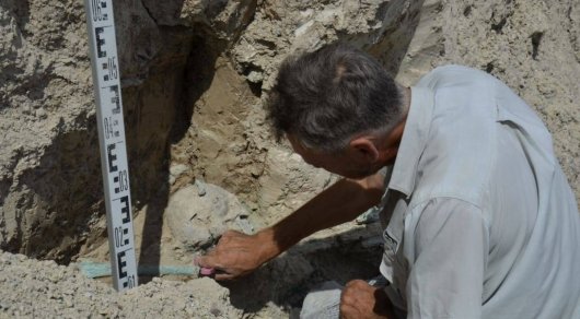 Их убили из лука павлодарские археологи нашли скелеты древних рудокопов