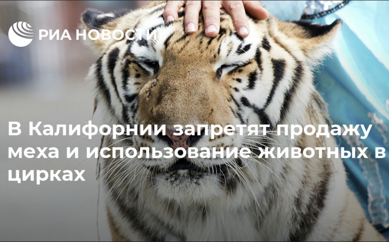В Калифорнии запретят использование меха и использование животных в цирках