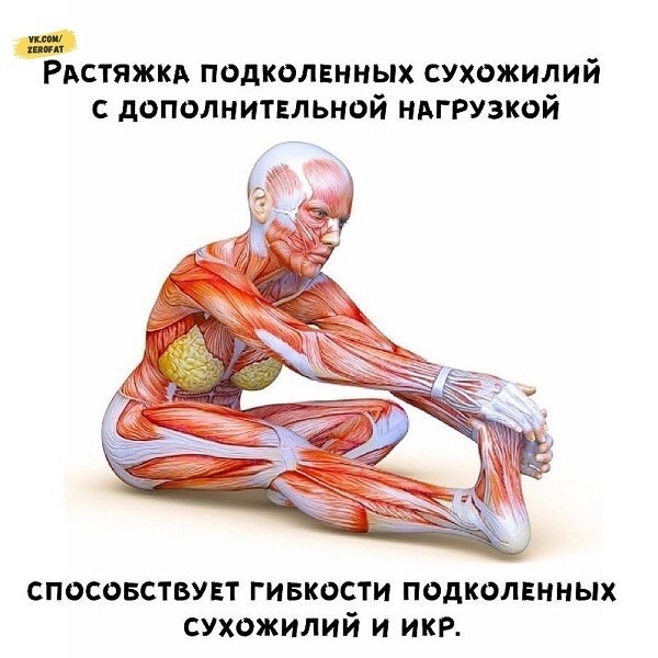 Растяжка  хорошее дополнение к другим регулярным нагрузкам