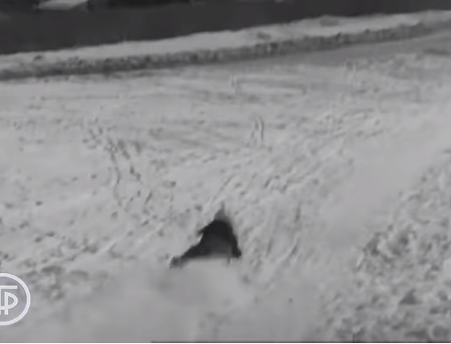 КАК ВОСПИТАТЬ ЧЕЛОВЕКА