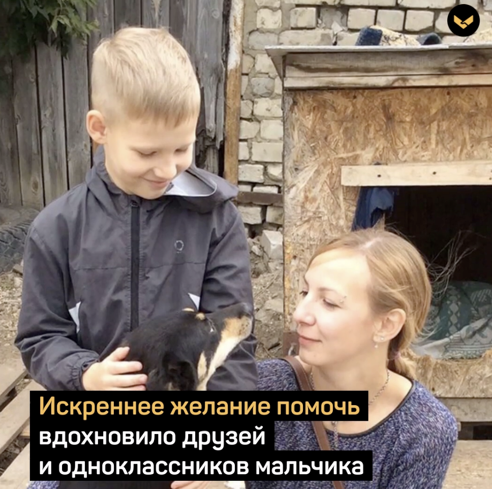 Мальчик рисует портреты кошек и собак, чтобы помочь бездомным животным