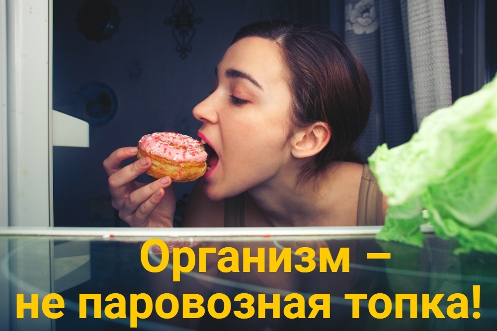 Организм не паровозноя топка!