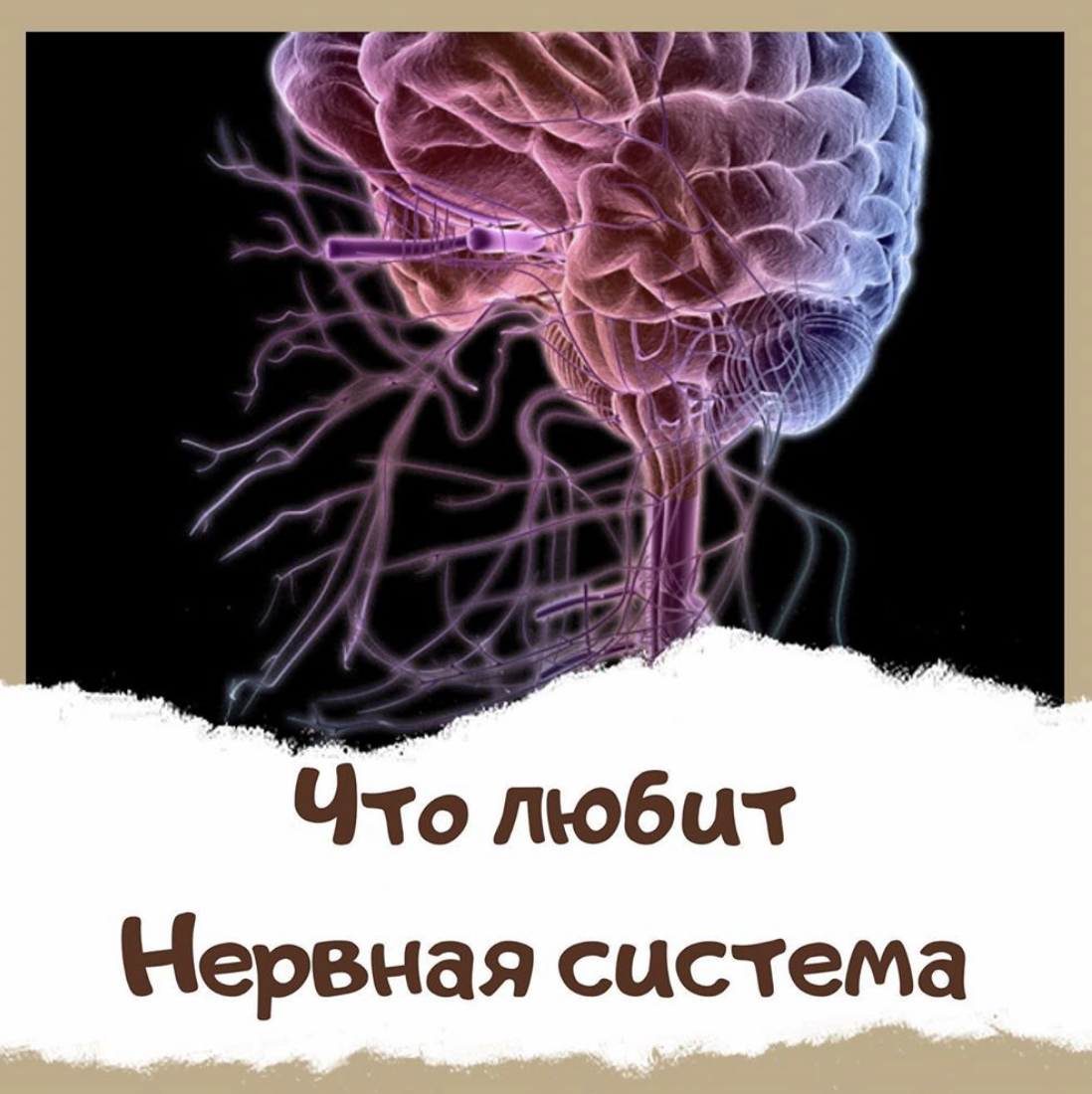 Что любит нервная система