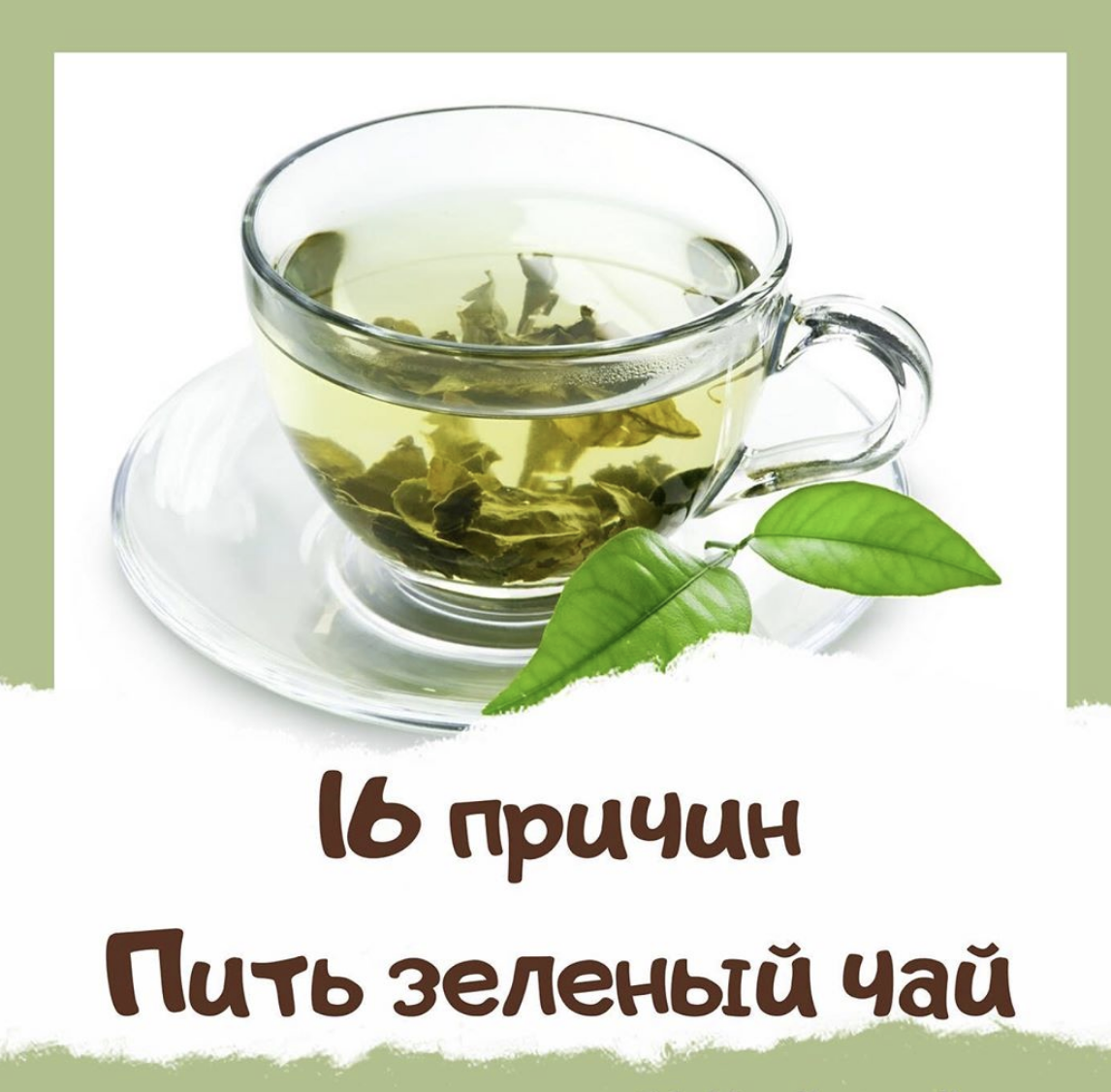 16 ПРИЧИН ПИТЬ ЗЕЛЕНЫЙ ЧАЙ!