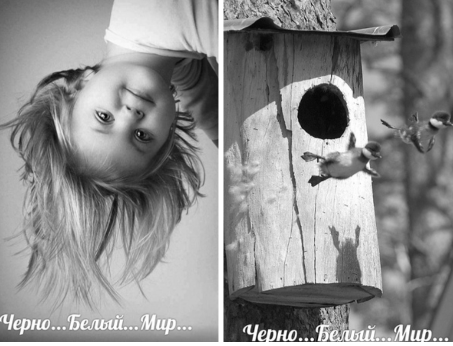 Чтобы дети учились, им не должно быть страшно, а наша система построена на фиксации ошибок.