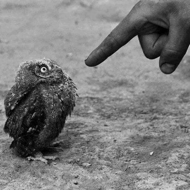 Что делать, если близкий человек вам лжёт. Бороться или уличать?