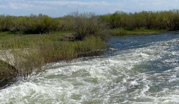 60 лет работает на канале имени Сатпаева Леонид Баталов (ВИДЕО)