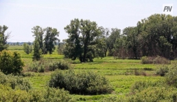 Павлодарлықтар орманға бару үшін билетті қайдан алады?