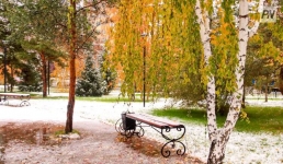 Теплым ожидается 11 ноября в Павлодарской области