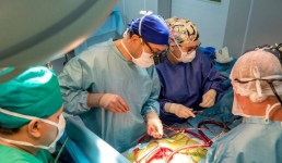 В Павлодаре впервые заменили клапан сердца через прокол в вене