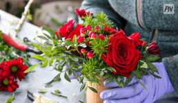 В Павлодаре высадили многолетние цветы