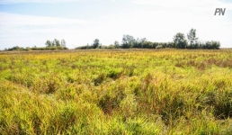 Землю – крестьянам: в Павлодарской области в сельхозоборот вернули обширные площади