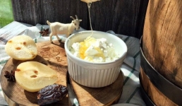 Павлодарские ученые запатентовали творог из козьего молока