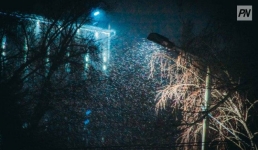 Унесённые ветром: в Павлодарской области подсчитали затраты на крыши