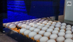 В Павлодарской области подорожали рис, яйца и коммуналка