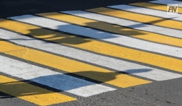 Почему исчезают «зебры» в Павлодаре