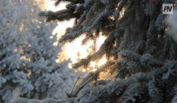 В Павлодарской области потеплеет 19 декабря