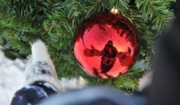 Ледовый лабиринт и беркуты: как украсят Павлодар к Новому году