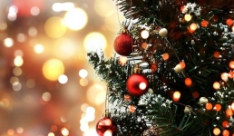 В Павлодаре Антикор проверит новогодние траты