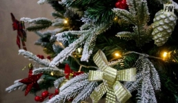 Особенным павлодарцам подсластили Новый год