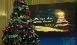 Особенную ёлку устроила павлодарская ассамблея народа Казахстана