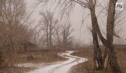 Туман и гололед: погода в Павлодарской области 27 декабря