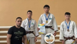 Чемпионат Павлодарской области определил победителей по дзюдо