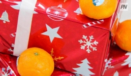 Детский дом побывал в гостях у павлодарских белорусов