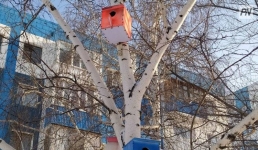 Сильный ветер и гололед ожидаются 2 января в Павлодарской области