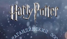 Гарри Поттер в Карагандинском зоопарке: Юных умников приглашают на квест