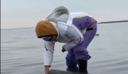 Экоактивисты взяли пробы воды для выявления причин массовой гибели лебедей на озере Караколь