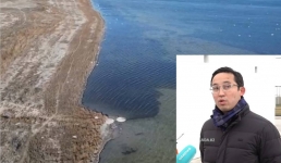 В Rixos Актау прокомментировали гибель лебедей: проект сброса очищенных сточных вод в Караколь был утвержден при строительстве отеля