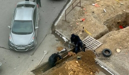 Жители Актау пожаловались на незаконные «раскопки» в их микрорайоне: подрядчика оштрафовали