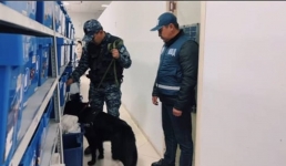 «Обнюхали» посылки: в Мангистау полицейские с собаками проверили отделения Казпочты