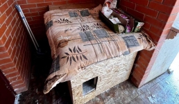 Добрые сердца: жители ЖК «Green Plaza» в Актау приютили во время холодов в подъездах уличных кошек