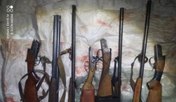 Двум павлодарцам грозит заключение за убитых косуль