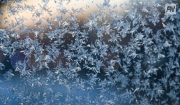 Занятия первой смены в павлодарских школах пройдут дистанционно.